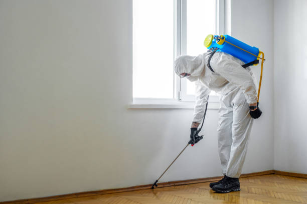 Best Fumigation Services  in Crane, MO